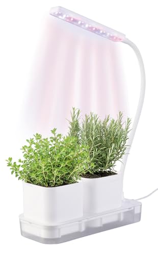 PEARL Anzuchtkasten mit Licht: Mini-Gewächs-...