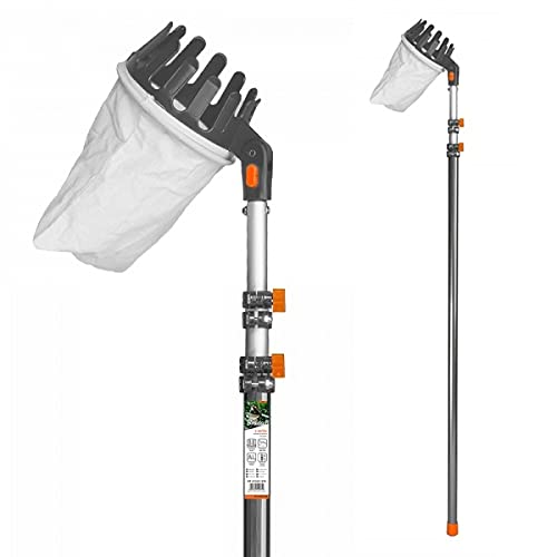 Obstpflücker Apfelpflücker mit...