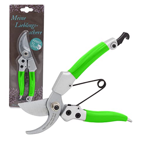 Altera la Vita Professionelle...