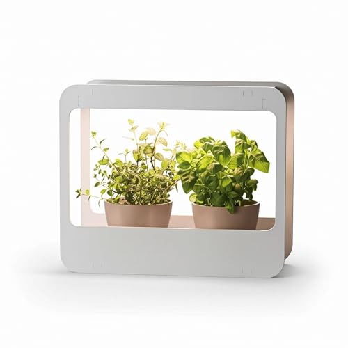 Romberg Home Garden Mini Gewächshaus mit LED...