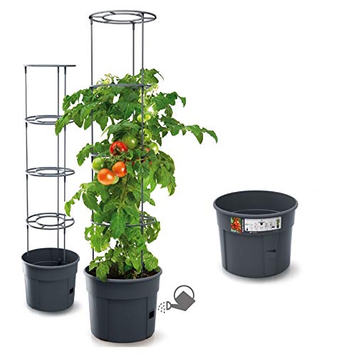 rgvertrieb Blumentopf Tomatentopf Topf für...