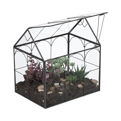 Relaxdays Pflanzenterrarium, Glas & Zinn,...