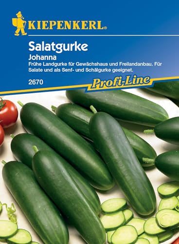 Kiepenkerl Profi-Line Salatgurkensamen...