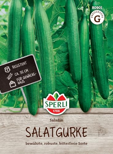 Sperli Salatgurkensamen Saladin, F1 80901...