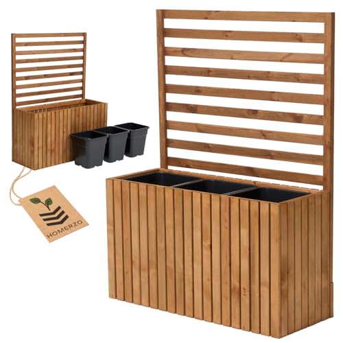 Pflanzkübel mit Rankgitter Spalier mit...