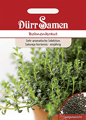 Dürr-Samen - 500 x Bohnenkraut Saatgut für...