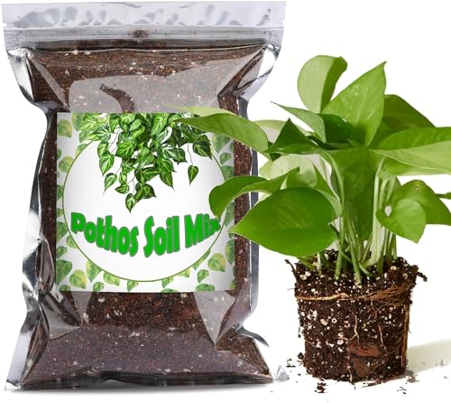 Bio-Pothos-Erde Mischung 4L,...