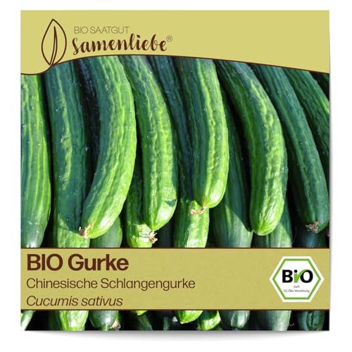 Samenliebe BIO Gurken Samen alte Sorte...