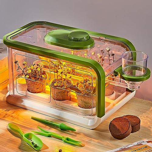 Mostop Kinder-Pflanzenzucht-Kit mit...