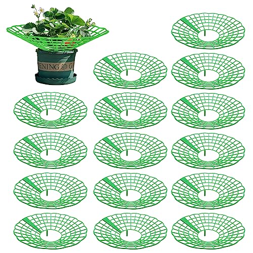 Aimeke 15 Stück Erdbeerreifer & Fruchtreifer...